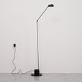 Load image into Gallery viewer, Daphine Floor Lamp