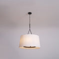 Load image into Gallery viewer, Dauphine Pendant Lamp