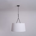 Load image into Gallery viewer, Dauphine Pendant Lamp