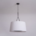 Load image into Gallery viewer, Dauphine Pendant Lamp