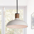 Load image into Gallery viewer, Destin Pendant Lamp
