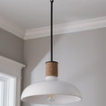 Load image into Gallery viewer, Destin Pendant Lamp