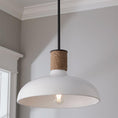 Load image into Gallery viewer, Destin Pendant Lamp