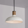 Load image into Gallery viewer, Destin Pendant Lamp