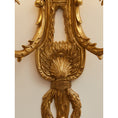 Load image into Gallery viewer, Dominique Brass Wall Lamp