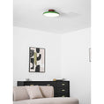 Load image into Gallery viewer, Zayn Ceiling Lamp