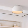 Load image into Gallery viewer, Duo Ceiling Lamp