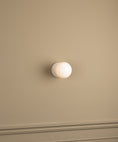 Load image into Gallery viewer, Eklipso Wall Lamp