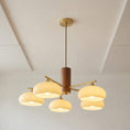 Load image into Gallery viewer, Elliptical Persimmon Chandelier
