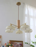 Load image into Gallery viewer, Elliptical Persimmon Chandelier