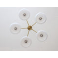 Load image into Gallery viewer, Elliptical Persimmon Chandelier