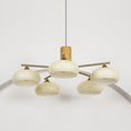 Load image into Gallery viewer, Elliptical Persimmon Chandelier
