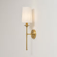 Charger l'image dans la visionneuse de la galerie, Emily Wall Lamp