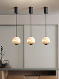 Load image into Gallery viewer, Ferox Pendant Light