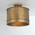 Bild in Galerie-Betrachter laden, Fintan Ceiling Lamp