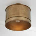 Bild in Galerie-Betrachter laden, Fintan Ceiling Lamp