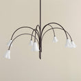 Load image into Gallery viewer, Flora Glass Chandelier