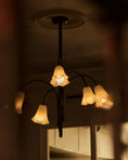 Load image into Gallery viewer, Flora Glass Chandelier