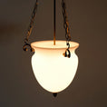 Load image into Gallery viewer, Florko Pendant Lamp