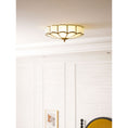Bild in Galerie-Betrachter laden, Flower Shape Glass Ceiling Lamp