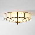 Bild in Galerie-Betrachter laden, Flower Shape Glass Ceiling Lamp