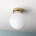 Load image into Gallery viewer, Foster Glass Ceiling Lamp
