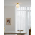 Charger l'image dans la visionneuse de la galerie, Foster Glass Ceiling Lamp