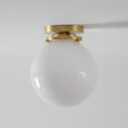 Charger l'image dans la visionneuse de la galerie, Foster Glass Ceiling Lamp