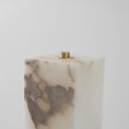 Bild in Galerie-Betrachter laden, Frozen Alabaster Floor Lamp