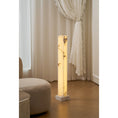 Bild in Galerie-Betrachter laden, Frozen Alabaster Floor Lamp