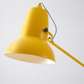 Load image into Gallery viewer, Giant Floor Lamp
