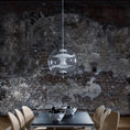 Load image into Gallery viewer, Globe Pendant Lamp