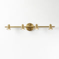 Load image into Gallery viewer, Halophane Brass Wall Lamp