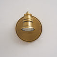 Load image into Gallery viewer, Halophane Brass Wall Lamp