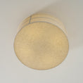 Load image into Gallery viewer, Hashira Ceiling Lamp