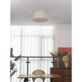Load image into Gallery viewer, Hashira Ceiling Lamp