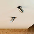 Load image into Gallery viewer, Haul Ceiling Spotlight Lamp