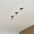 Load image into Gallery viewer, Haul Ceiling Spotlight Lamp