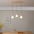 Load image into Gallery viewer, Hemp Rope Glass Pendant Lamp