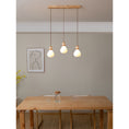Load image into Gallery viewer, Hemp Rope Glass Pendant Lamp