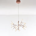 Bild in Galerie-Betrachter laden, Heracleum Chandelier