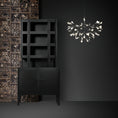 Bild in Galerie-Betrachter laden, Heracleum Chandelier
