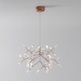 Load image into Gallery viewer, Heracleum Chandelier