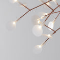 Load image into Gallery viewer, Heracleum Chandelier
