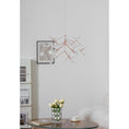 Load image into Gallery viewer, Heracleum Chandelier