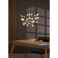 Load image into Gallery viewer, Heracleum Chandelier