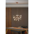 Load image into Gallery viewer, Heracleum Chandelier