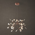 Load image into Gallery viewer, Heracleum Chandelier