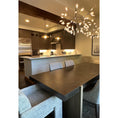 Load image into Gallery viewer, Heracleum Chandelier