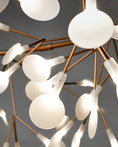Bild in Galerie-Betrachter laden, Heracleum Chandelier